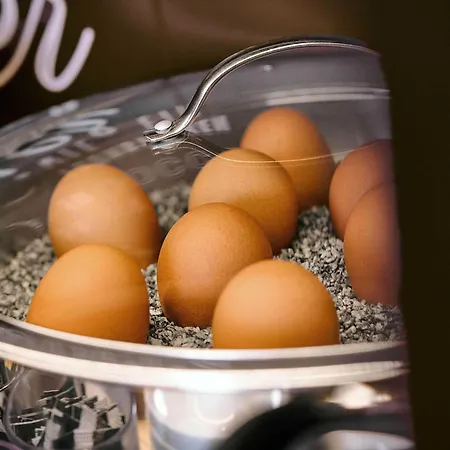 ホテル Duesseldorf-ratingen ラーティンゲン